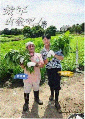 孝利家民宿 夫妻一起看的治愈综艺